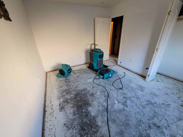 Best Flood damage cleanup  in King George, VA
