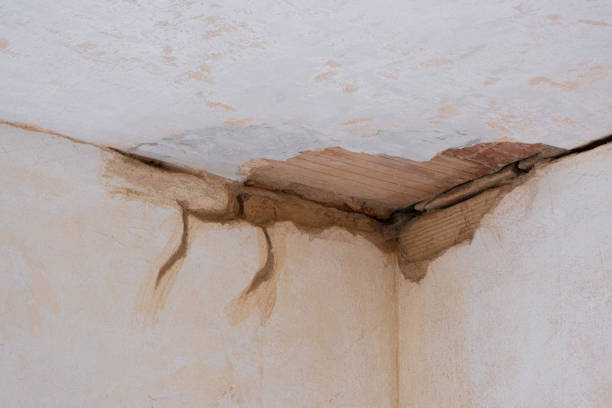 Best Basement water damage restoration  in King George, VA