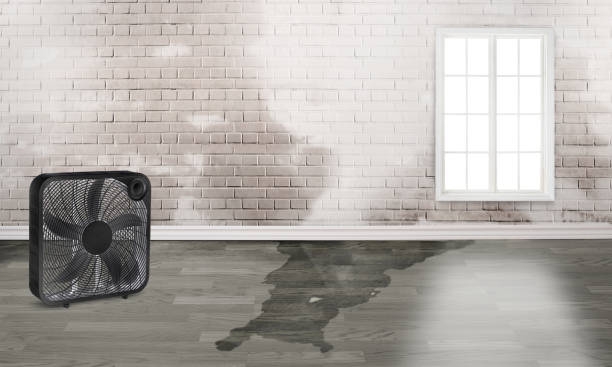 Best 24-hour water damage restoration  in King George, VA