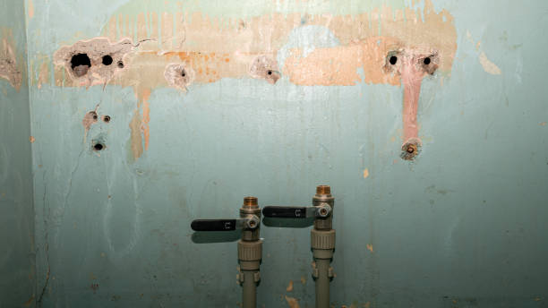 Best Mold removal after water damage  in King George, VA