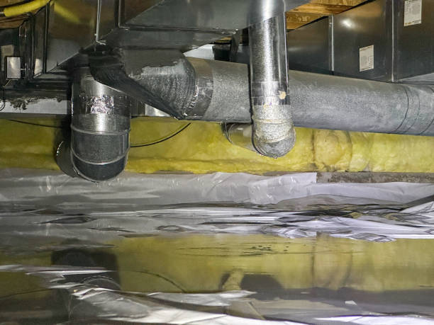 Best Water damage restoration near me  in King George, VA