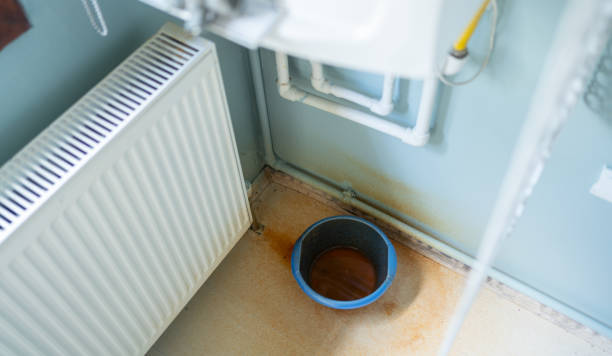 Best Water damage cleanup near me  in King George, VA