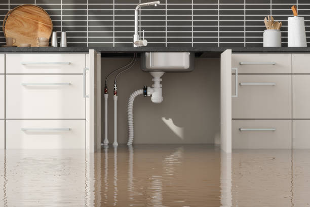  King George, VA Water damage restoration Pros