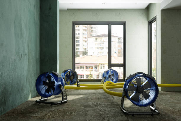 Best Professional water damage repair  in King George, VA