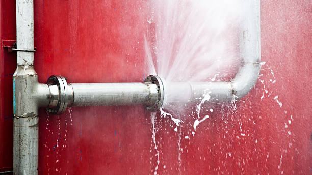 Best Sewage cleanup and water damage restoration  in King George, VA